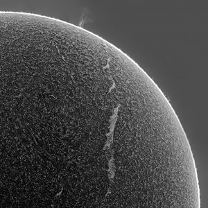 Soleil [Lunette H-alpha][image inversée] (Jean-Marc)